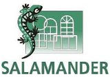Оконный профиль Salamander